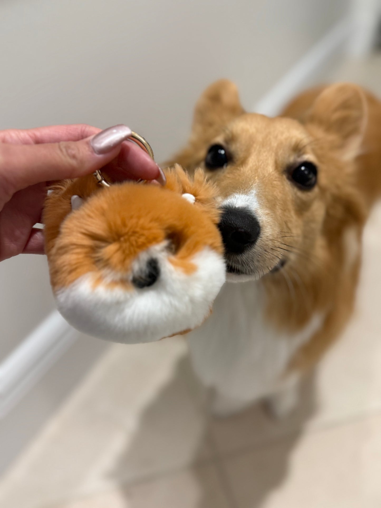 KOBESOJU: LaSOJUju Corgi Bag Charm 🍑✨