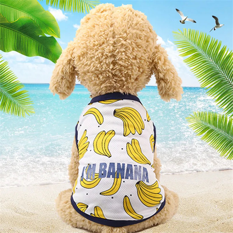 Dog Clothes Cute Cartoon Fruit Crab Printed Vest Summer Breathable Printing T-Shirt Pet Cat Cotton T-Shirt Pug Apparel Costumes