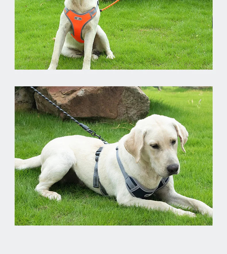 Strong Dog Leash Pet Leashes Reflective Leash For Big Small Medium Large Dog Leash Drag Pull Tow Golden Retriever dog accessorie