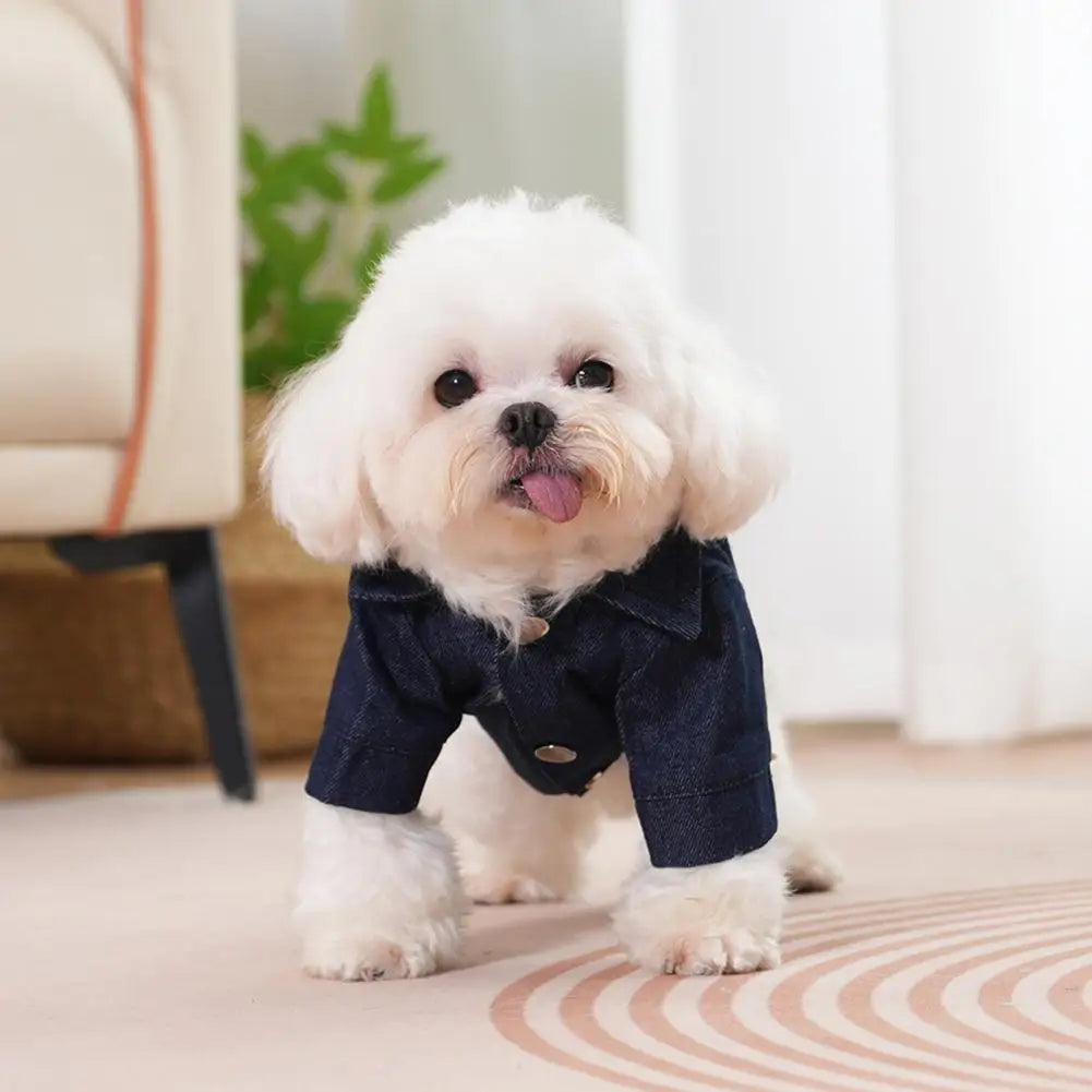 Denim Shirt for Pets Pet Apparel Denim Style Pet Denim Shirt Funny Transform Costum Fashionable Boy Uniform Soft for Wear