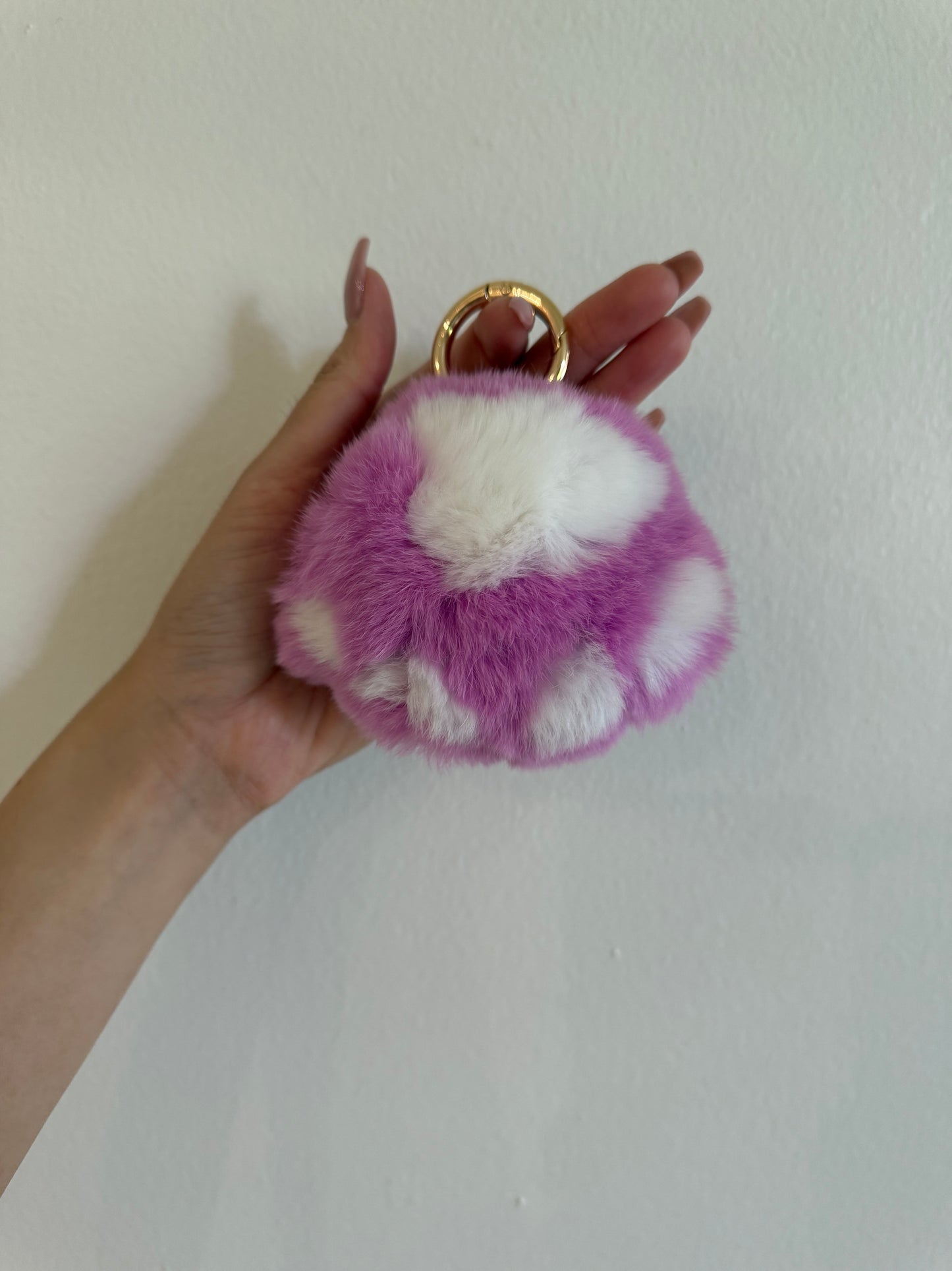 KOBESOJU: Luxe Pawfection 🐾✨