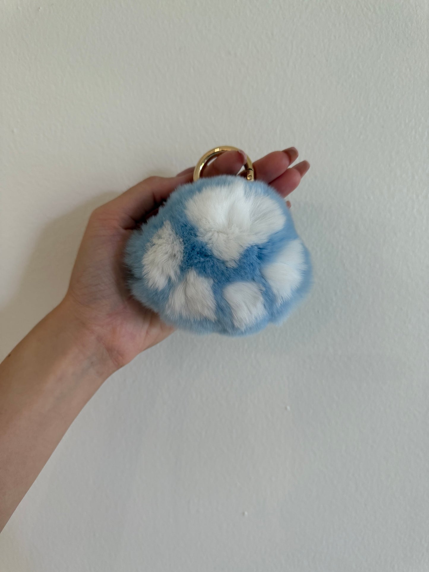 KOBESOJU: Luxe Pawfection 🐾✨