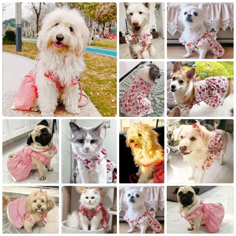 Pet Dog Clothes for Small Dogs Summer Pet Dress Fashion Print Puppy Princess Skirt Cute Flying Sleeve Cat Dress Pet Dog Costumes