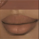 🎀 Bow & Wow: Wrapped to Slay Collection - MATTE 💋 & GLOSS ✨