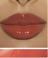 🎀 Bow & Wow: Wrapped to Slay Collection - MATTE 💋 & GLOSS ✨